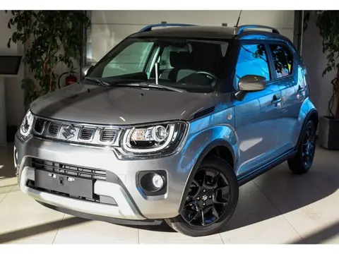 Annonce SUZUKI IGNIS Hybride 2024 d'occasion 