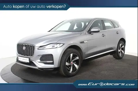 Used JAGUAR F-PACE Petrol 2021 Ad 