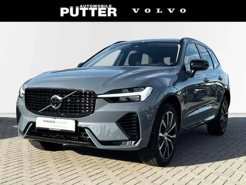 Annonce VOLVO XC60 Diesel 2024 d'occasion 