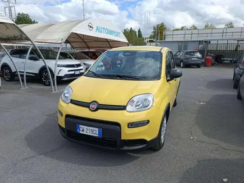 Annonce FIAT PANDA Hybride 2024 d'occasion 