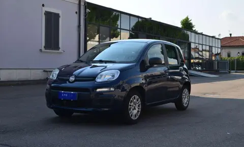 Used FIAT PANDA LPG 2019 Ad 