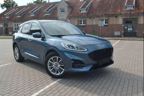 Used FORD KUGA Diesel 2022 Ad 