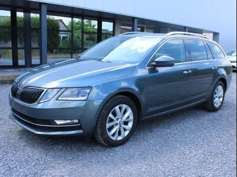 Used SKODA OCTAVIA  2019 Ad 