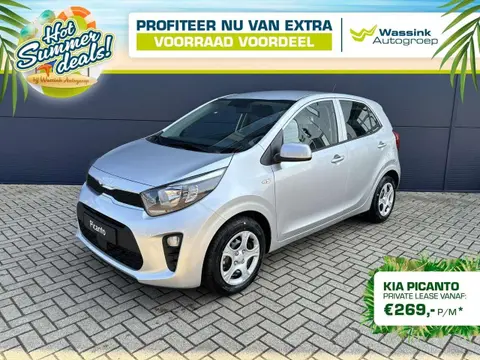 Used KIA PICANTO Petrol 2024 Ad 