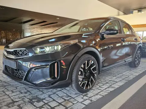 Annonce KIA XCEED Essence 2024 d'occasion 