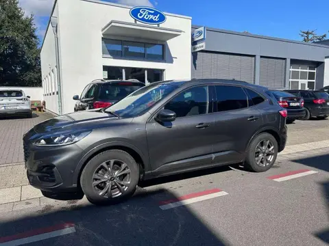 Annonce FORD KUGA Essence 2020 d'occasion 