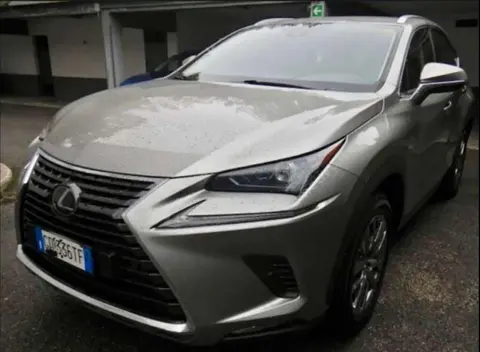 Annonce LEXUS NX Hybride 2020 d'occasion 