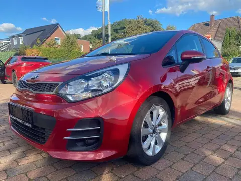 Used KIA RIO Petrol 2016 Ad 