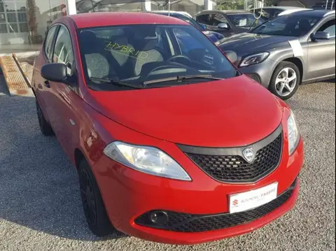 Used LANCIA YPSILON Hybrid 2021 Ad 