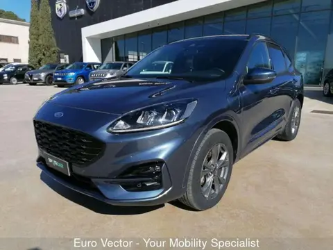 Annonce FORD KUGA Hybride 2021 d'occasion 