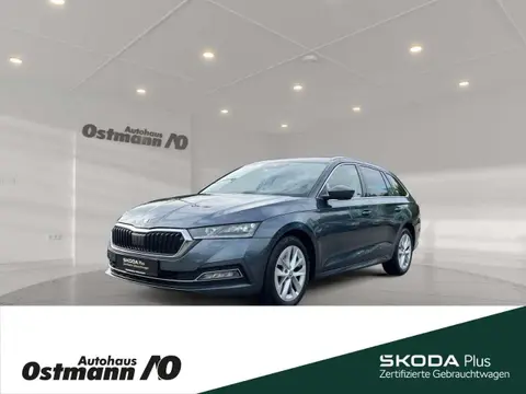 Annonce SKODA OCTAVIA Diesel 2021 d'occasion 