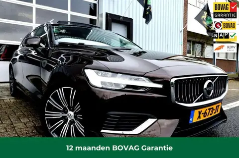 Annonce VOLVO V60 Hybride 2019 d'occasion 