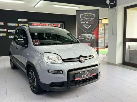 Used FIAT PANDA Hybrid 2022 Ad 