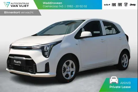 Annonce KIA PICANTO Essence 2024 d'occasion 