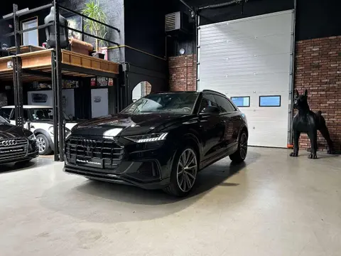 Annonce AUDI Q8 Hybride 2023 d'occasion 