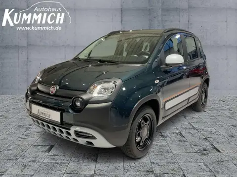 Used FIAT PANDA Hybrid 2024 Ad 