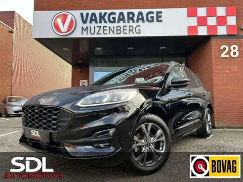 Used FORD KUGA Hybrid 2022 Ad 