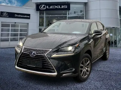 Used LEXUS NX Hybrid 2021 Ad 