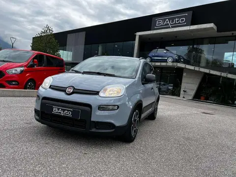 Annonce FIAT PANDA Hybride 2022 d'occasion 