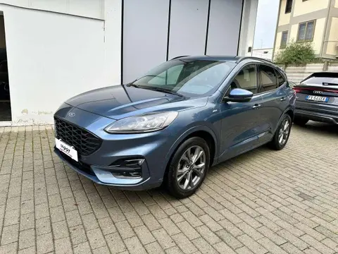 Used FORD KUGA Diesel 2021 Ad 