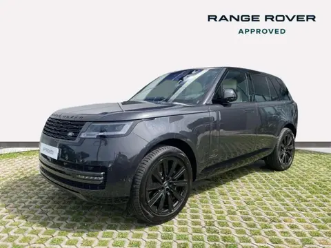 Used LAND ROVER RANGE ROVER  2024 Ad 