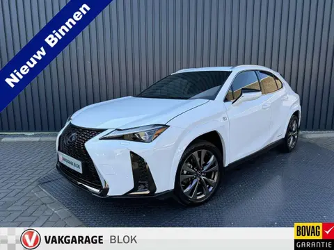 Used LEXUS UX Hybrid 2022 Ad 