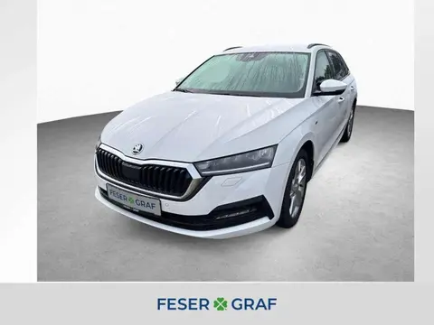 Annonce SKODA OCTAVIA Diesel 2022 d'occasion 