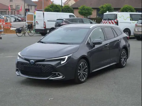 Used TOYOTA COROLLA Hybrid 2024 Ad 