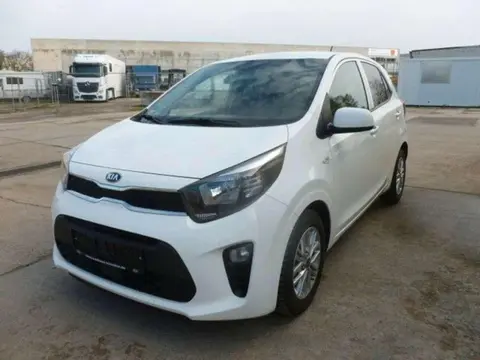 Annonce KIA PICANTO Essence 2020 d'occasion 