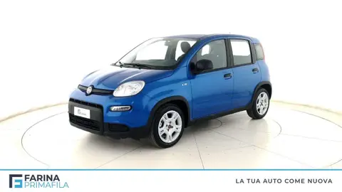 Annonce FIAT PANDA Hybride 2024 d'occasion 