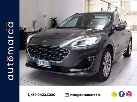 Used FORD KUGA Hybrid 2022 Ad 