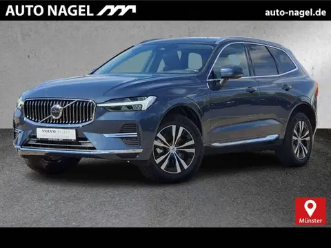 Annonce VOLVO XC60 Hybride 2023 d'occasion 