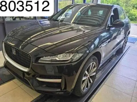 Used JAGUAR F-PACE Diesel 2021 Ad 