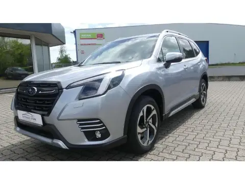 Used SUBARU FORESTER Petrol 2023 Ad 