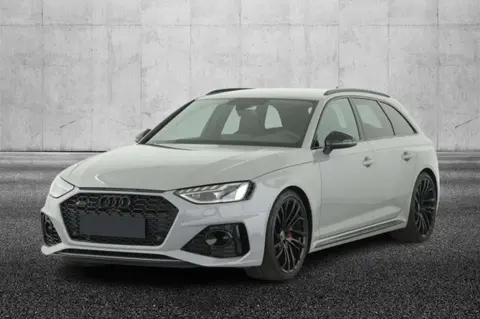 Used AUDI RS4 Petrol 2022 Ad 