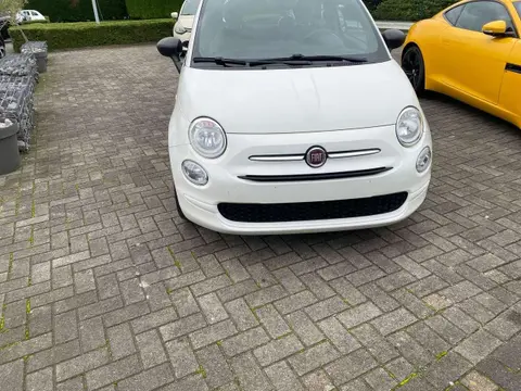 Used FIAT 500 Petrol 2020 Ad 