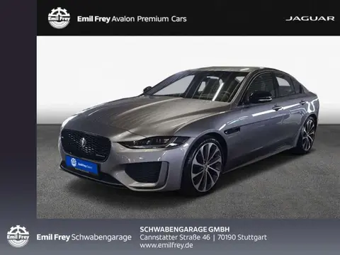 Used JAGUAR XE Diesel 2023 Ad 