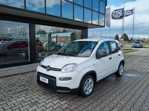 Annonce FIAT PANDA Hybride 2024 d'occasion 