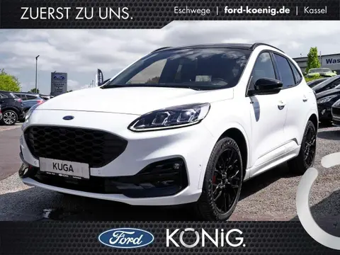 Used FORD KUGA Diesel 2023 Ad 