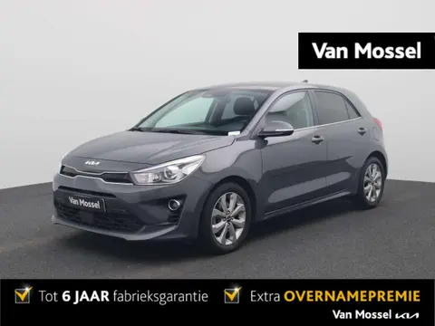 Used KIA RIO Petrol 2022 Ad 