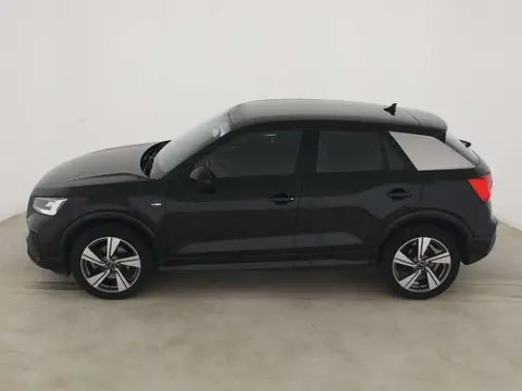 Used AUDI Q2 Petrol 2024 Ad 