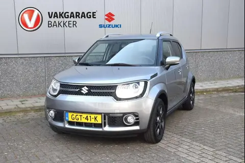 Used SUZUKI IGNIS Petrol 2019 Ad 