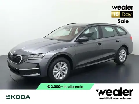 Annonce SKODA OCTAVIA Essence 2024 d'occasion 