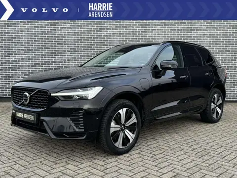 Used VOLVO XC60 Hybrid 2022 Ad 