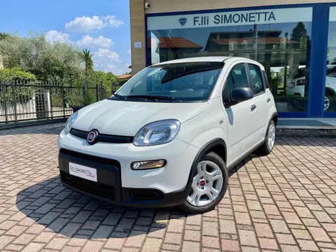 Annonce FIAT PANDA Hybride 2024 d'occasion 