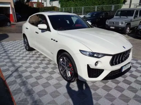 Used MASERATI LEVANTE Diesel 2019 Ad 