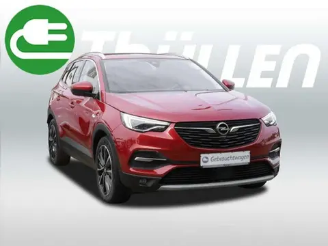 Used OPEL GRANDLAND Hybrid 2021 Ad 