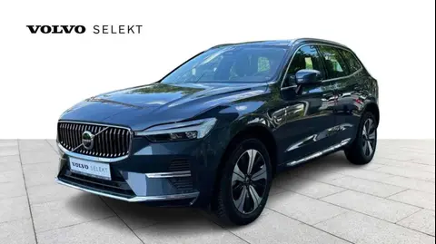 Annonce VOLVO XC60 Hybride 2023 d'occasion 