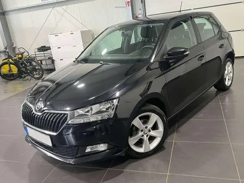 Used SKODA FABIA Petrol 2019 Ad 