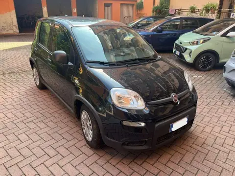 Annonce FIAT PANDA Hybride 2023 d'occasion 